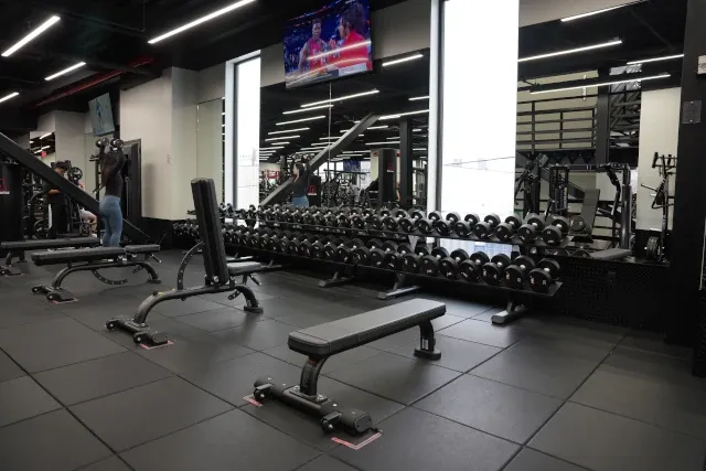 Free Weights