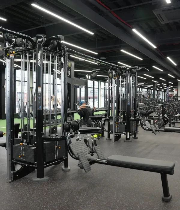 Upper Body Zone