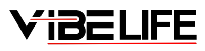 Vibe LIFE logo